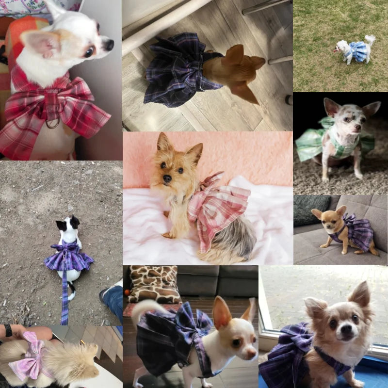 Dog Collar Skirt Bow Pet Harness With Breast Strap Traction Rope Dog Clothes For Small Dogs Cat Leash Princess Tutu Skirt Dress