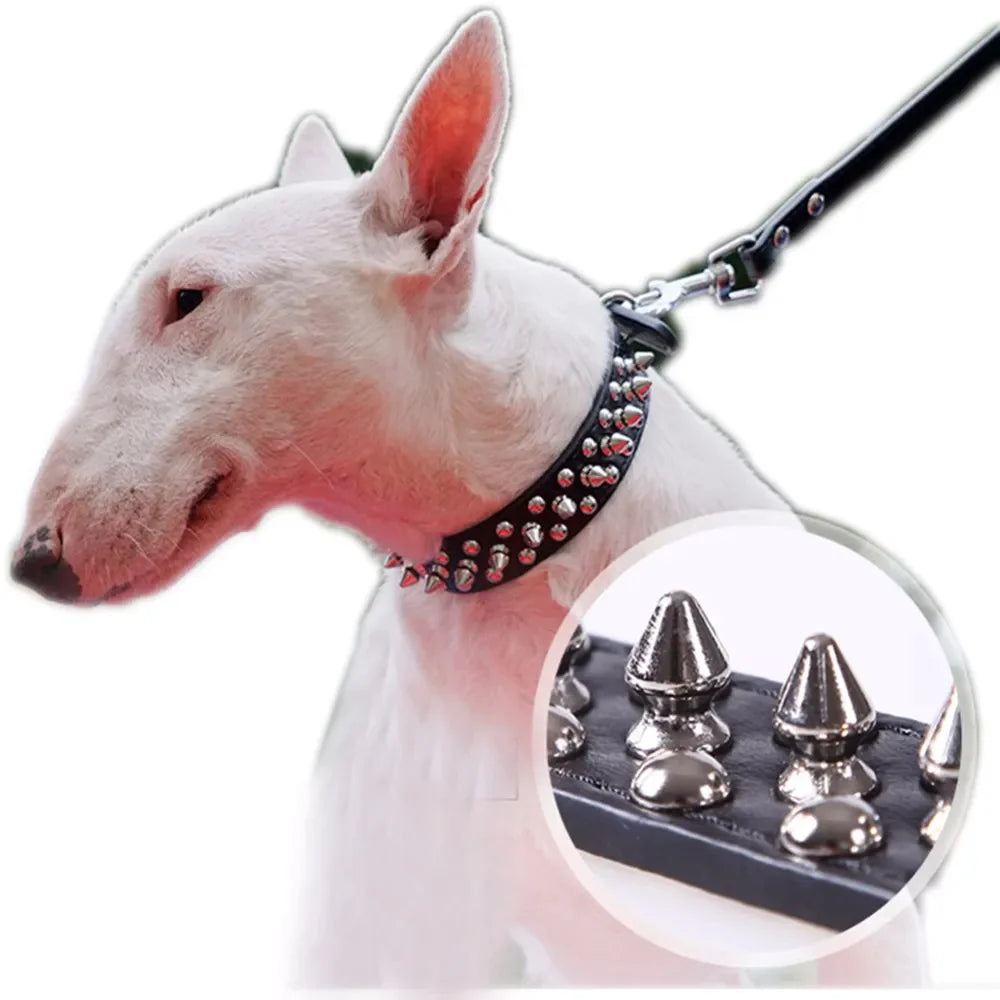 Collier en cuir clouté à pointes pour chien et chat - Réglable - Petit et grand gabarit