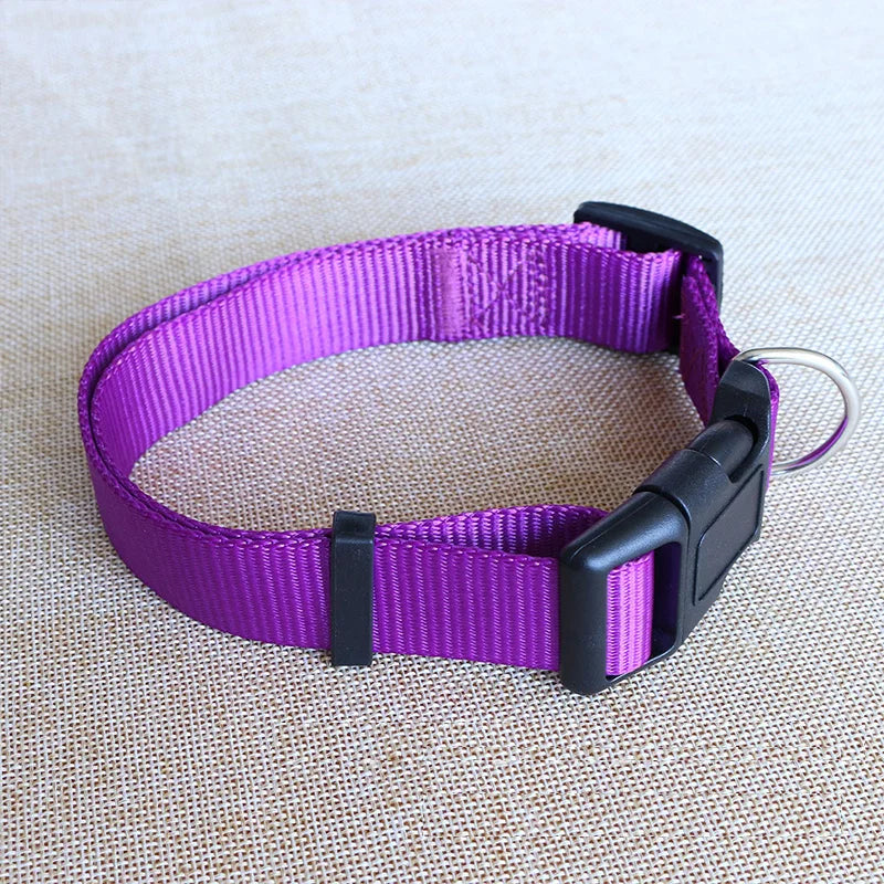 Nylon Dog Collar Adjustable Pet Collar for Small Medium Large Dogs Solid Color Dog Leash Pet Supplies