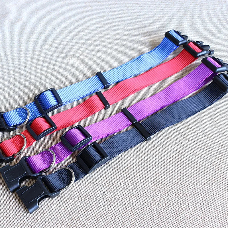 Nylon Dog Collar Adjustable Pet Collar for Small Medium Large Dogs Solid Color Dog Leash Pet Supplies