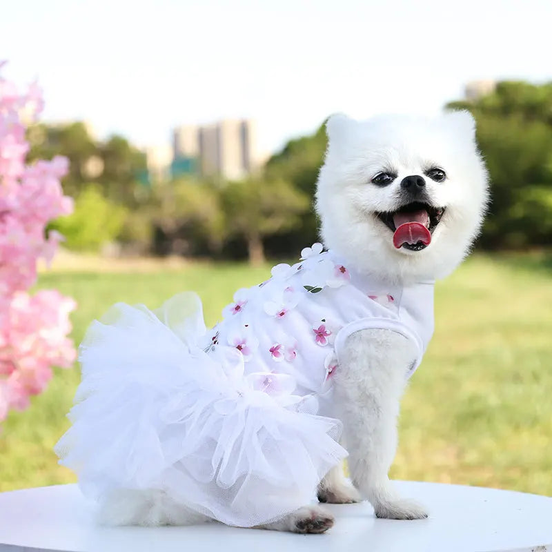 Lace Chiffon Dress For Small Dog Flowers Fashion Party Birthday Puppy Wedding Dress Summer Cute Costume Clothes For Pet dogs