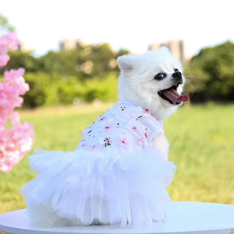 Lace Chiffon Dress For Small Dog Flowers Fashion Party Birthday Puppy Wedding Dress Summer Cute Costume Clothes For Pet dogs