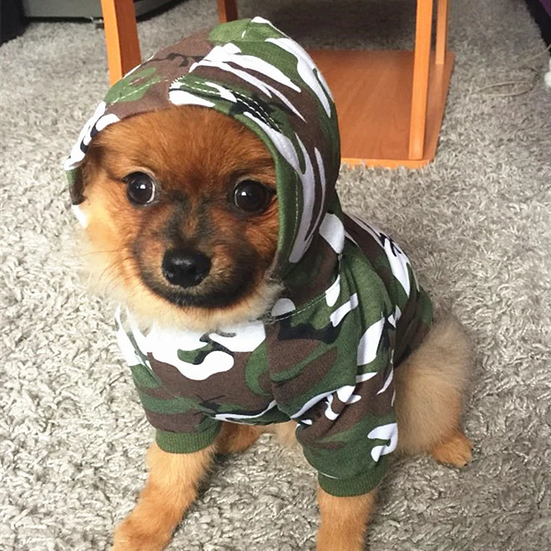 Security Dog Clothes Classic Pet Dog Hoodies Clothes For Small Dog Autumn Coat Jacket for Yorkie Chihuahua Puppy Clothing 10d3S1