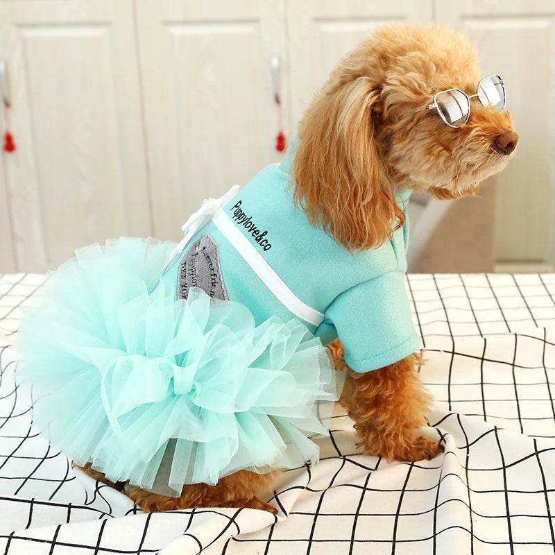 Teddy Princess Dress Pomeranian Bichon Small Dog Dress Cute Puppy Puppy Spring and Summer Lace Tutu