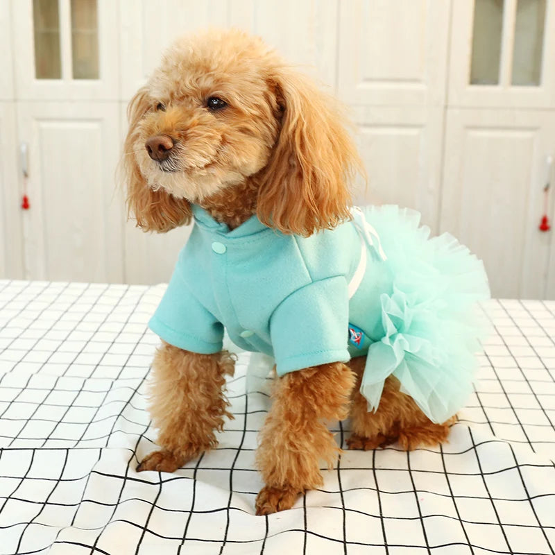 Teddy Princess Dress Pomeranian Bichon Small Dog Dress Cute Puppy Puppy Spring and Summer Lace Tutu