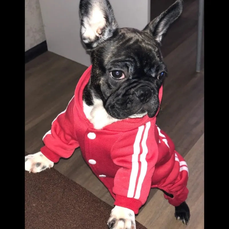 Tracksuit for Dogs Spring Autumn Dog Clothes Sport Sweatshirt Jumpsuit for Small Dogs French Bulldog Yorkie Chihuahua Hoodies