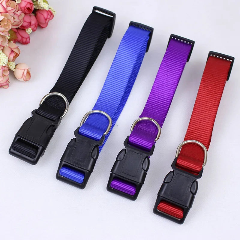 Nylon Dog Collar Adjustable Pet Collar for Small Medium Large Dogs Solid Color Dog Leash Pet Supplies