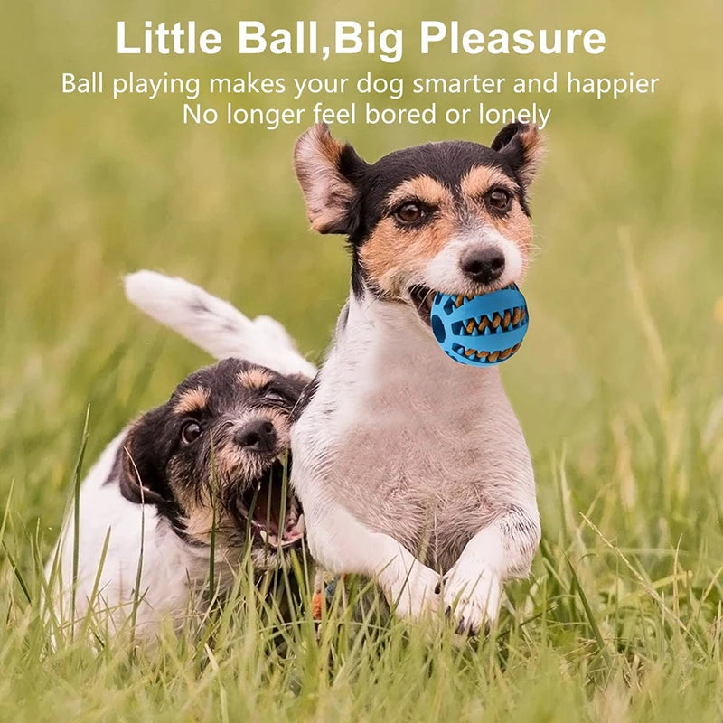 Pet Dog Interactive Toy 7cm Dogs Natural Rubber Ball Leaking Ball Tooth Clean Balls for Dog Cat Chew Toys accesorios para perro