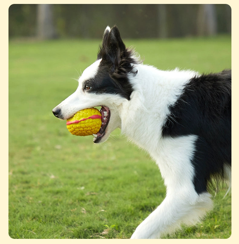 Teddy Bite-Resistant Molar Toy Small Dog