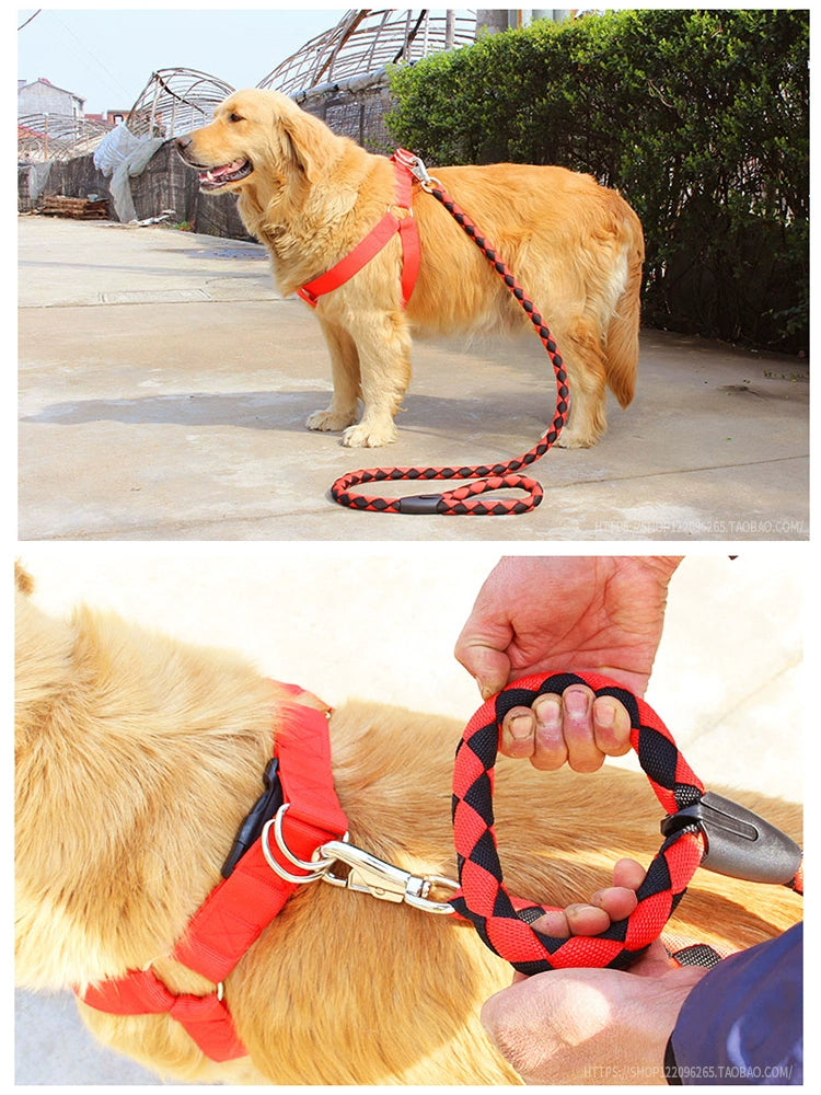 Teddy Large Collar Pet Supplies Dog Hand Holding Rope