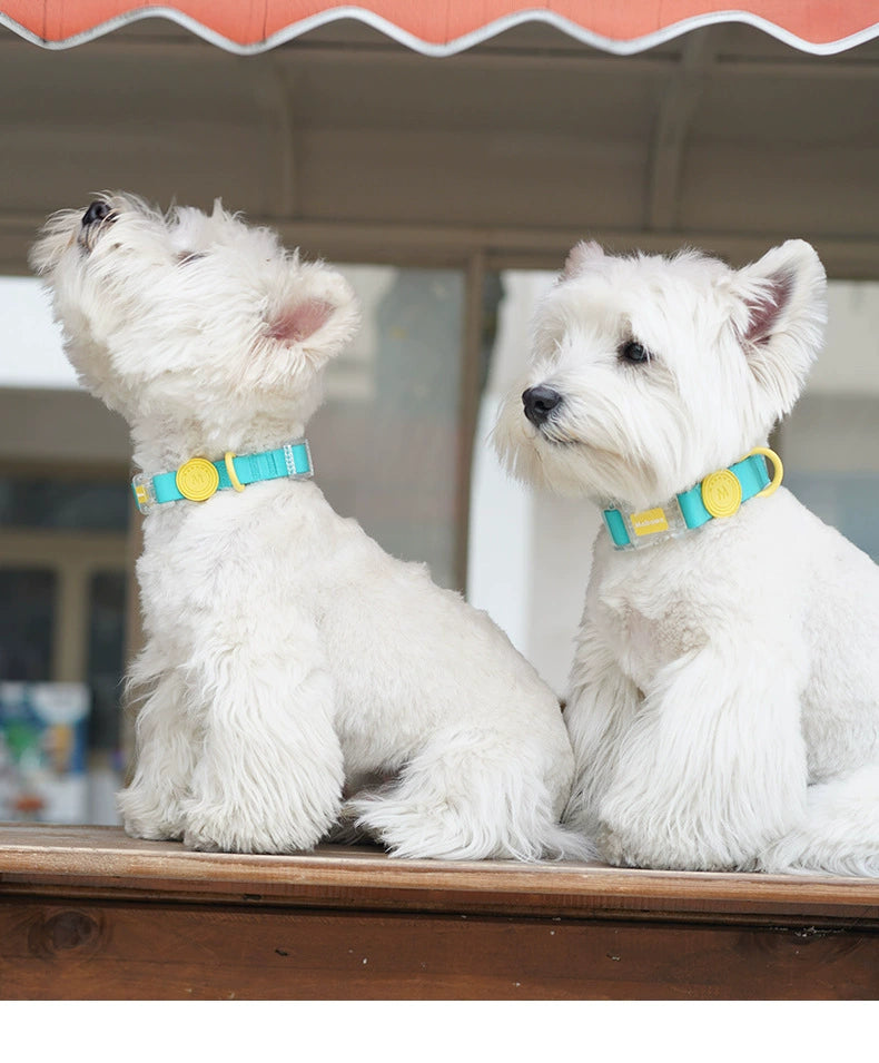 Waterproof Collar Rope Dog