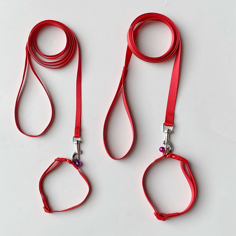 Collar Small and Medium-Sized Dogs Dog Hand Holding Rope