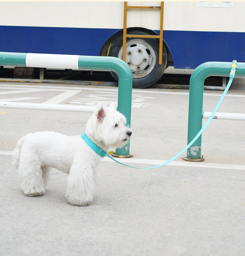 Waterproof Collar Rope Dog