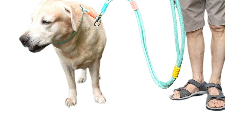 Double-Layer Large Dog Harness Pull-Resistant Explosion-Proof