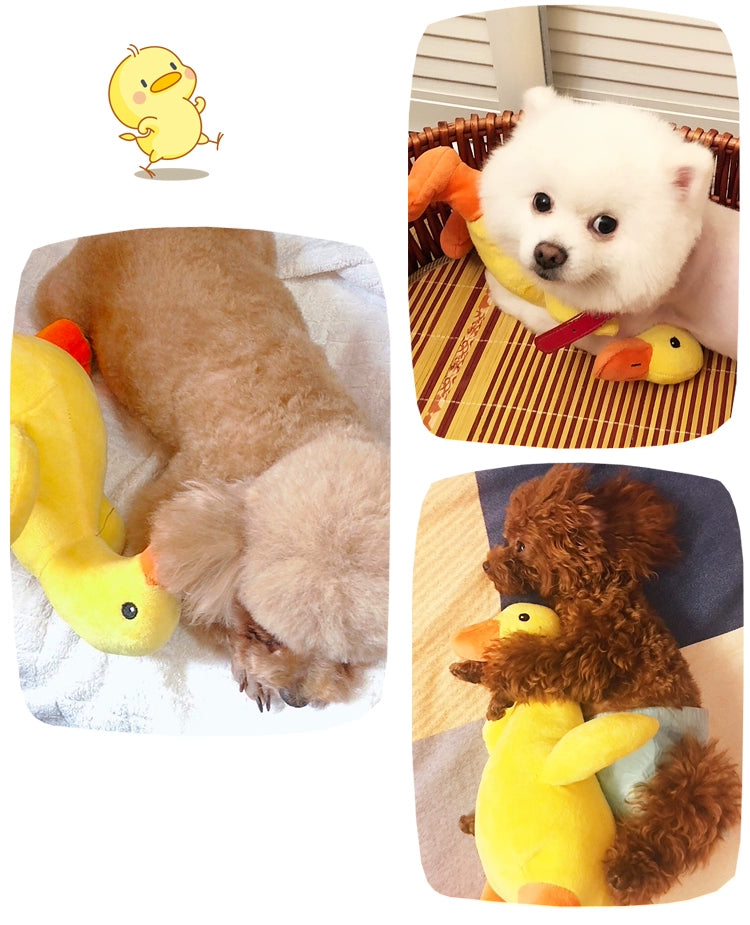 Dog Sound Toy Plush Duck Small and Medium-Sized Dogs Vent Bite-Resistant Molar Pet