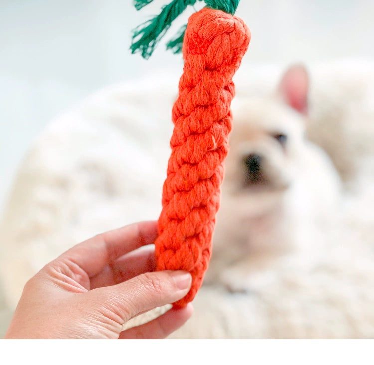 Carrot Teddy Puppies Pets Dog