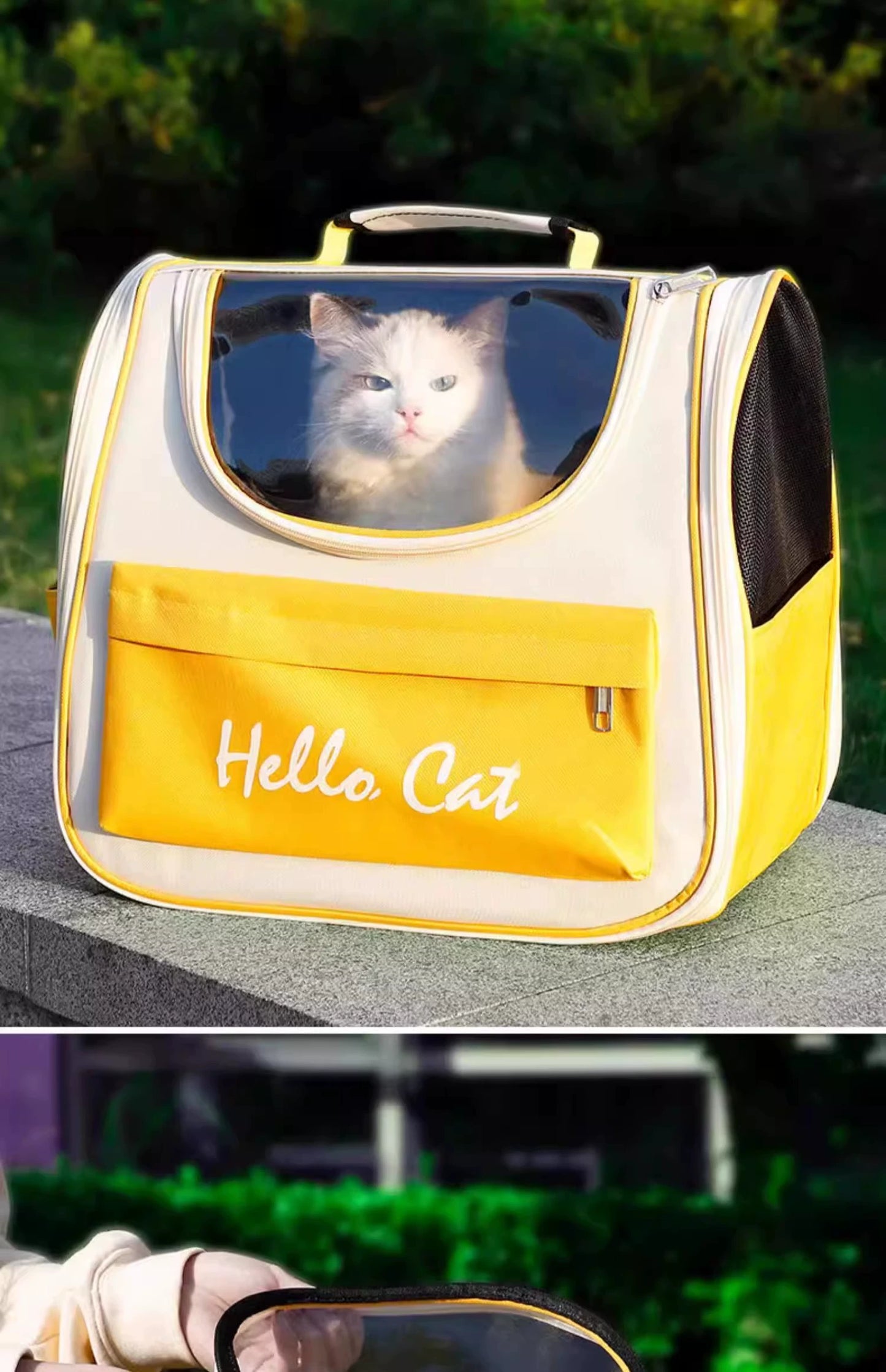 Sac à bandoulière portable transparent neutre pour chat toute l'année