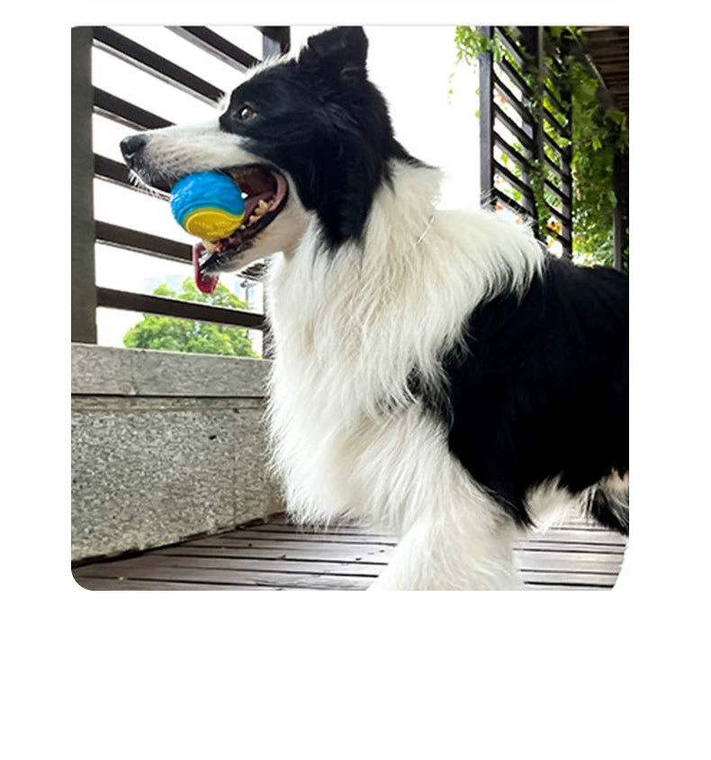 Vocalization Bite-Resistant Ball Elastic Interactive Self-Hi Relieving Stuffy Dog