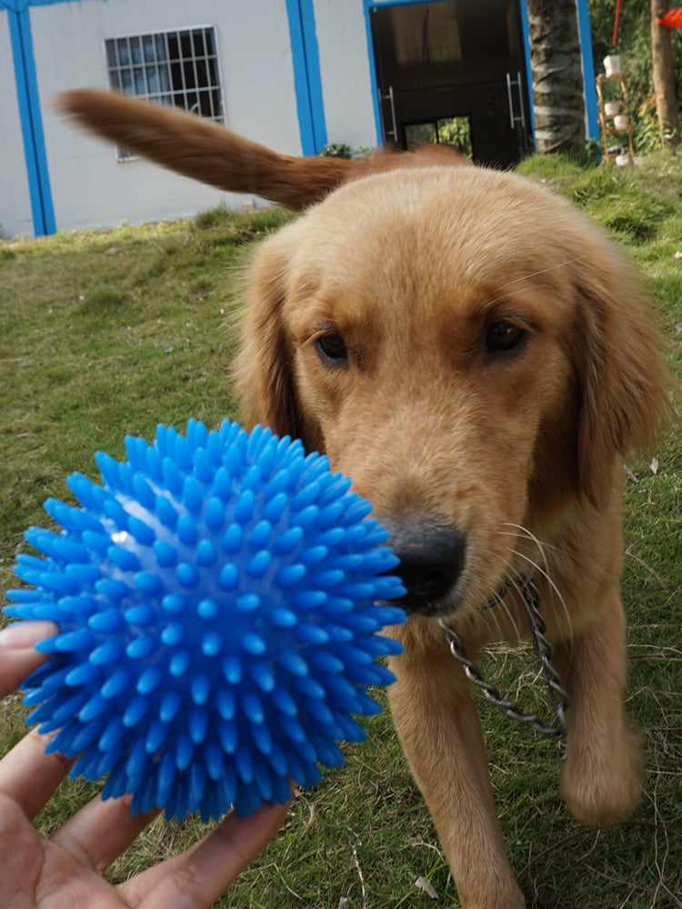 Sound Cleaning Elastic Ball