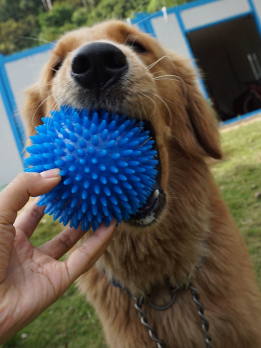 Sound Cleaning Elastic Ball