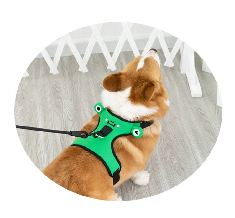 Small to Medium Dog Harness