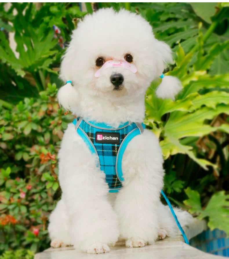 New Arrival Vest Dog Hand Holding Rope Small and Medium-Sized Dogs Teddy Bichon Pomeranian Hand Holding Rope Pet Walking Dog Special Rope