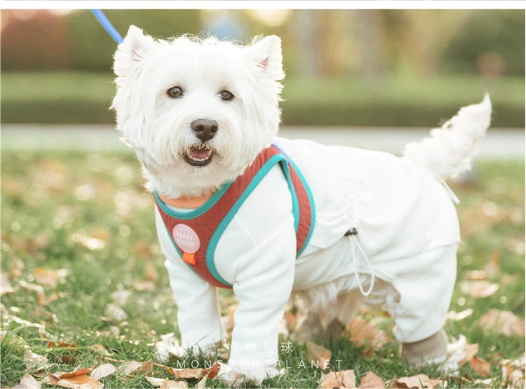 Contrast Color Chest and Back Tow Rope Collar Dog