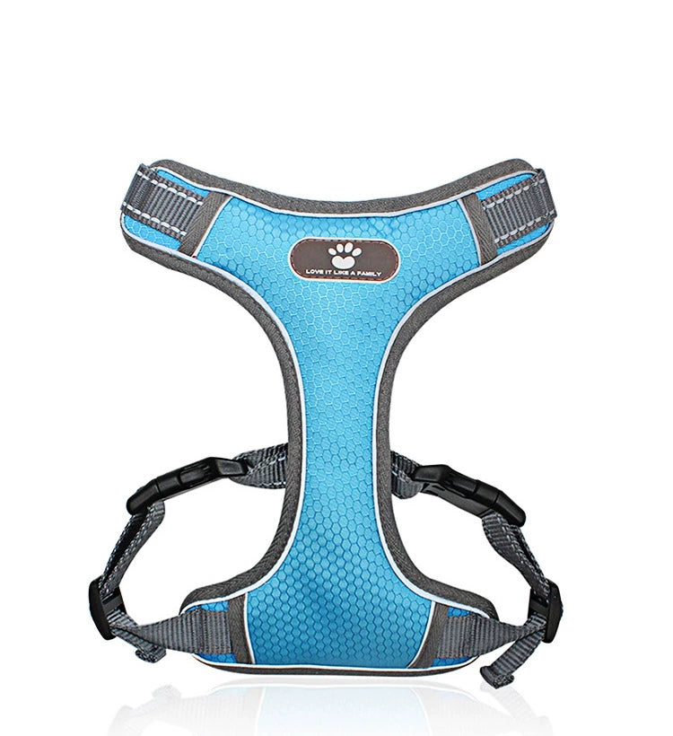 Dog Harness