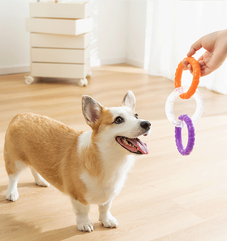 Teething Ring for Small to Medium Sized Dogs