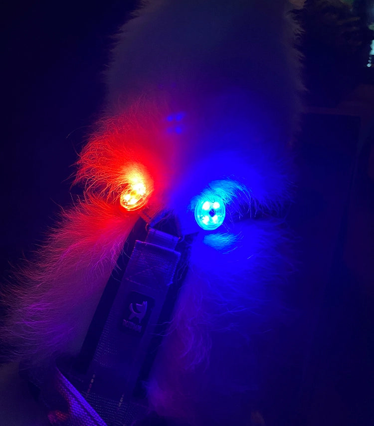 Travel Handy Gadget Charging Waterproof Luminous Dog Walking Collar