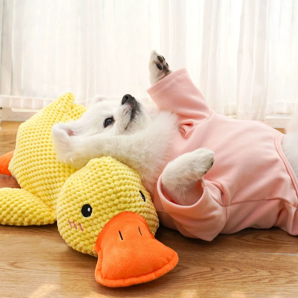 Relieving Boredom to Sleep with Yellow Duck Self-Hi Dog