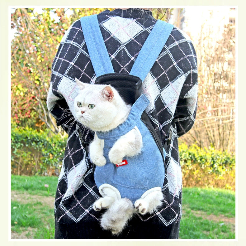 Backpack Breathable Chest Travel Special Cat Handy Gadget