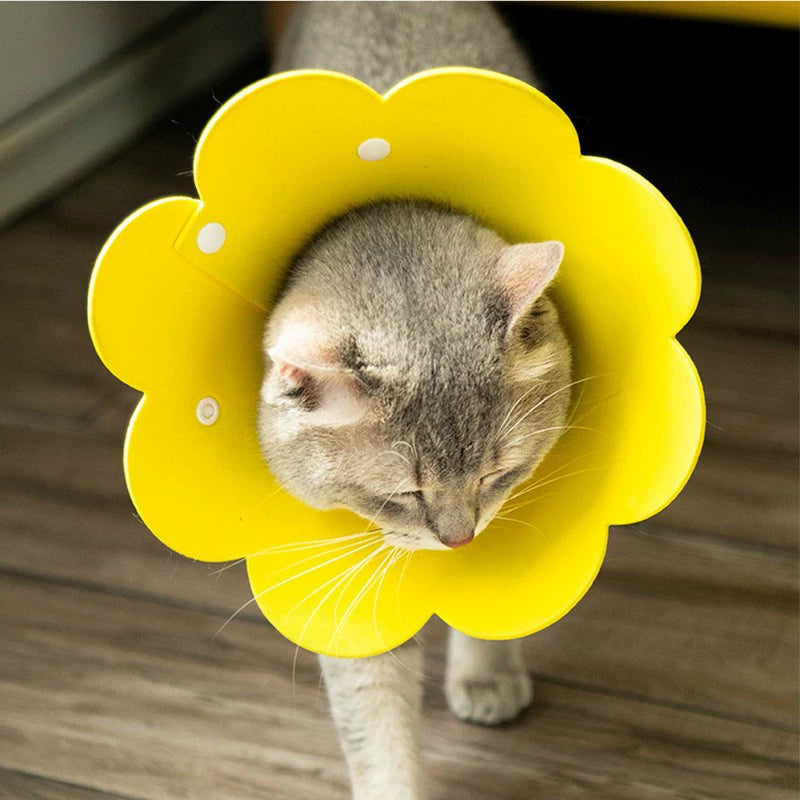 Elizabeth Ring Pet Dog Cat Felt SUNFLOWER Snap Collar Anti-Licking Wound Neck Sterilization Shame Ring