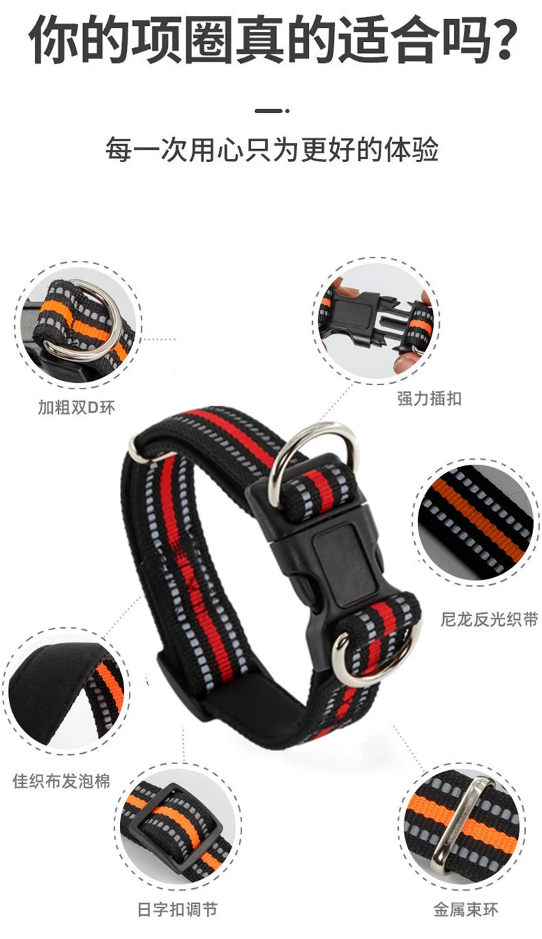 Dog Collar and Leash for Medium to Large Dogs