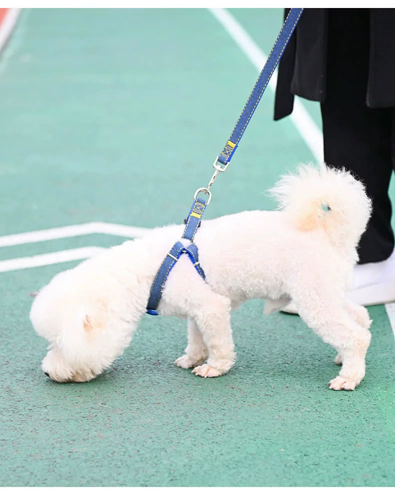 Dog harness for small dogs