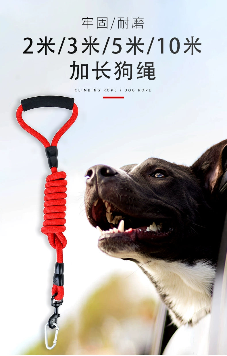 Dog Hand Holding Rope Long 3 M 5 M Collar Collar Medium Large Dog Training P Chain Dog Leash