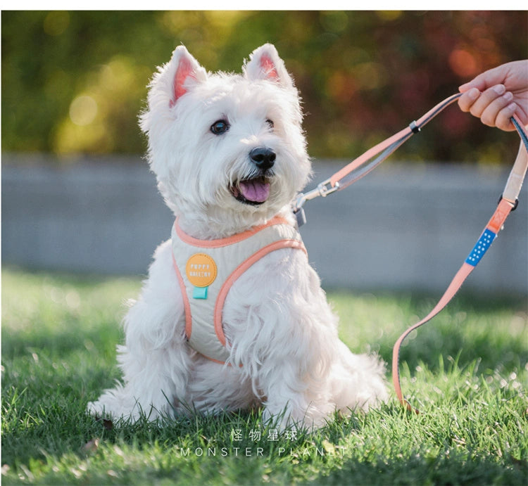 Contrast Color Chest and Back Tow Rope Collar Dog