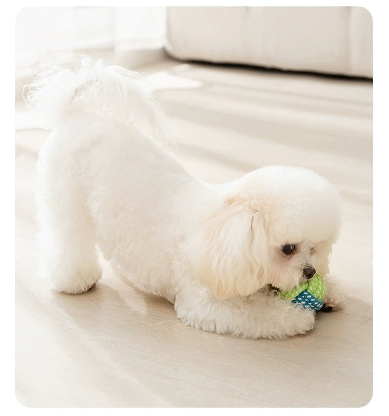 Zihi Relieving Boredom Handy Gadget Toy Bichon Small Dog