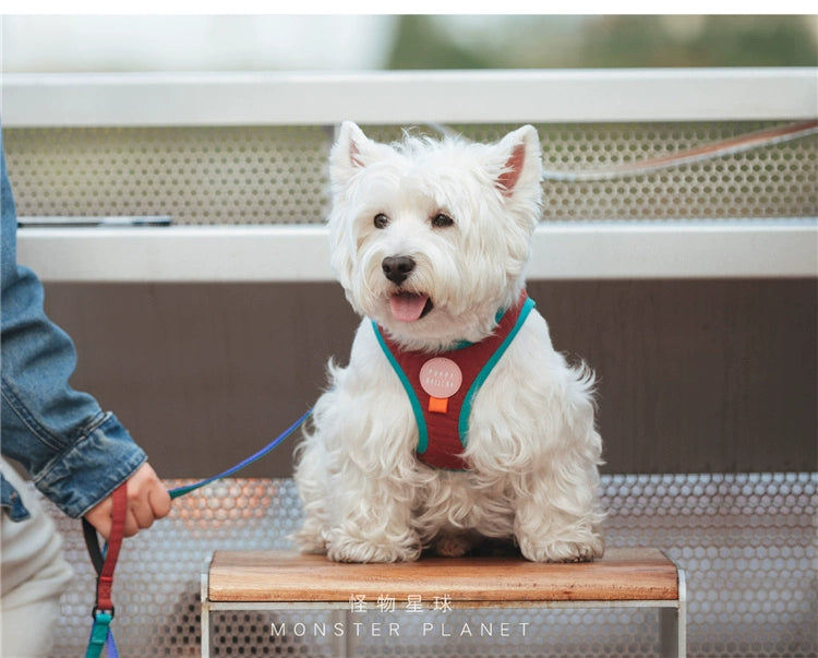 Contrast Color Chest and Back Tow Rope Collar Dog