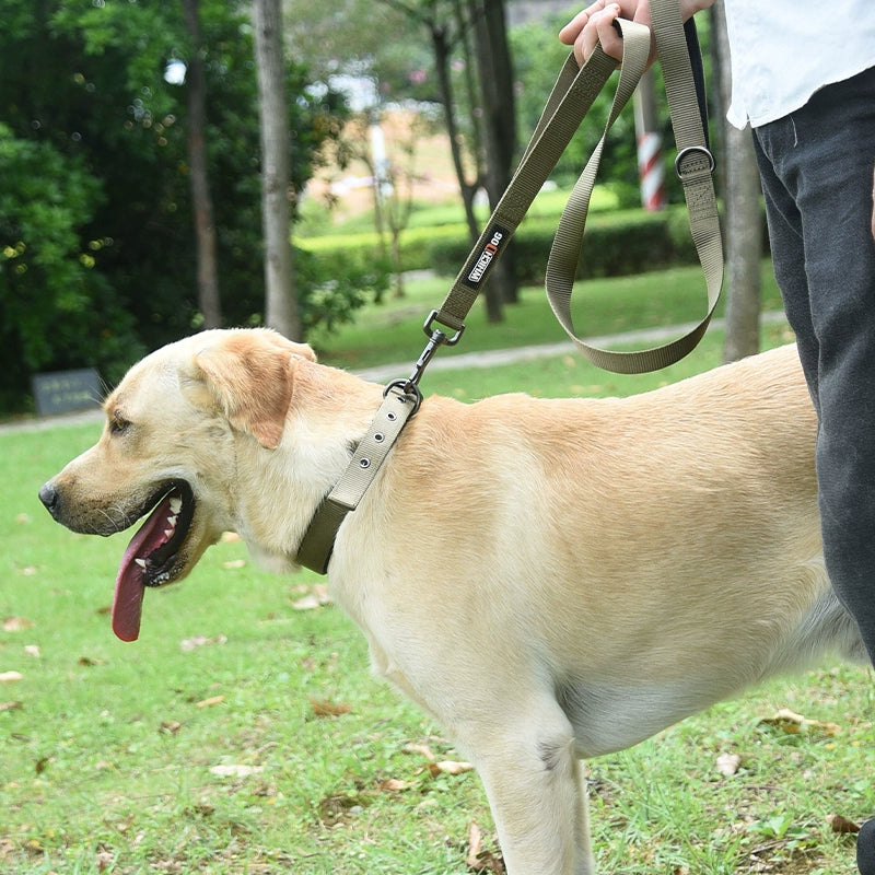 Adjustable Nylon Strap Dog Harness