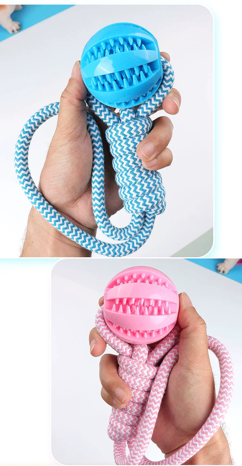 Interactive Dog with Tetherball Pet Supplies