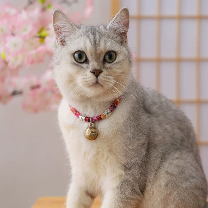 Cat Collar with Bell