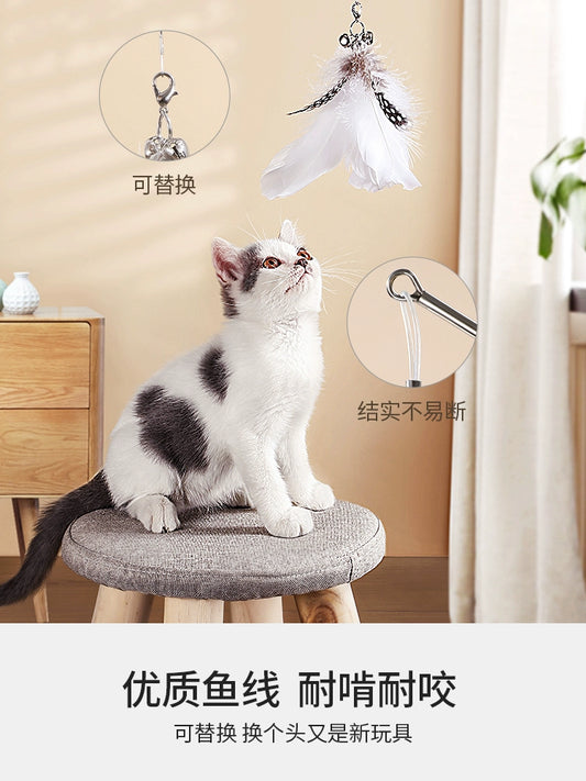 Cat Teaser Long Brush Holder Retractable Steel Wire New New Arrival Long Fishing Rod Bite-Resistant Feather Cat Toy Supplies