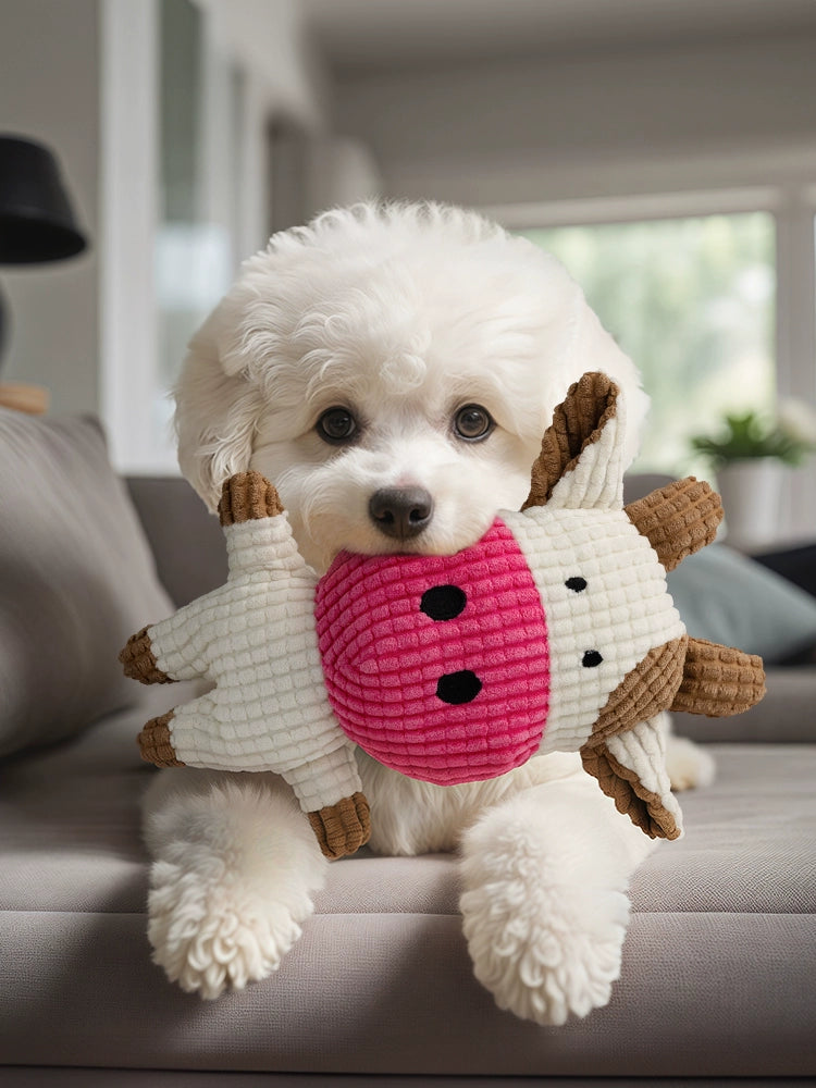 Self-Hi Relieving Boredom Puppy Bichon Teddy Consumes Dogs