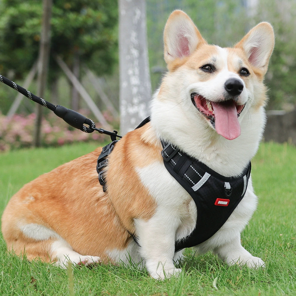 Dog Harness Medium-Sized Dog