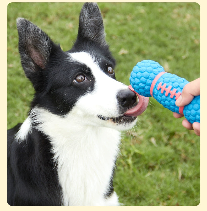 Teddy Bite-Resistant Molar Toy Small Dog