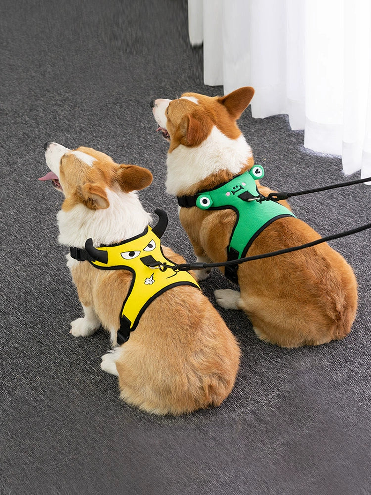 Small to Medium Dog Harness