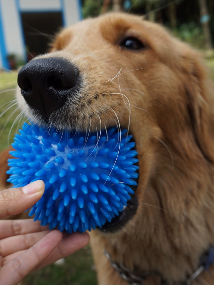 Sound Cleaning Elastic Ball