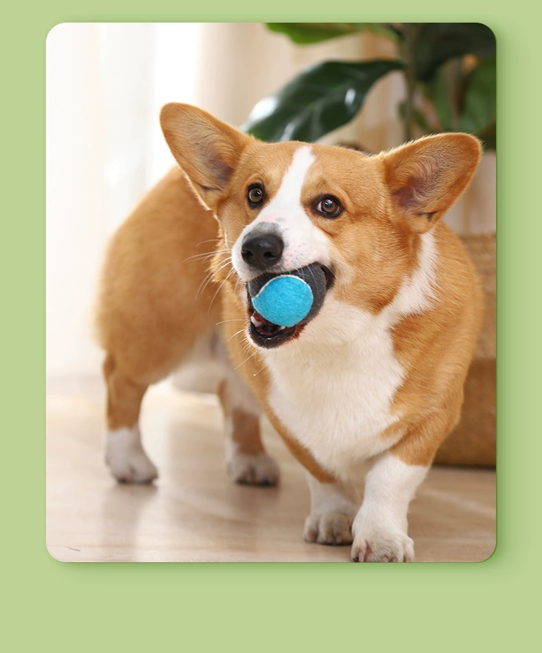 Dog Toy Ball Bite-Resistant Vocalization Pet Supplies Tennis Tooth Cleaning Relieving Stuffy Handy Gadget Self-Hi Large Dog Outdoor Dog Training