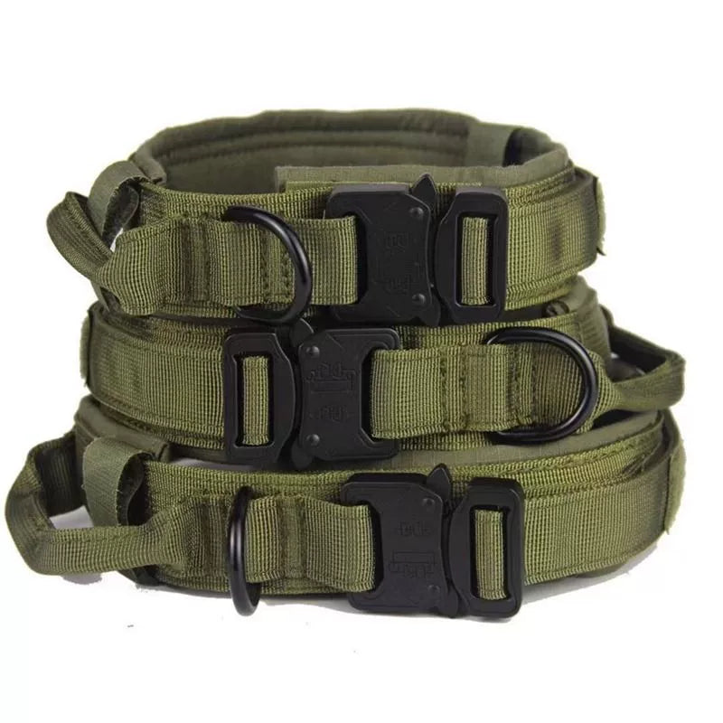 Large Dog Collar